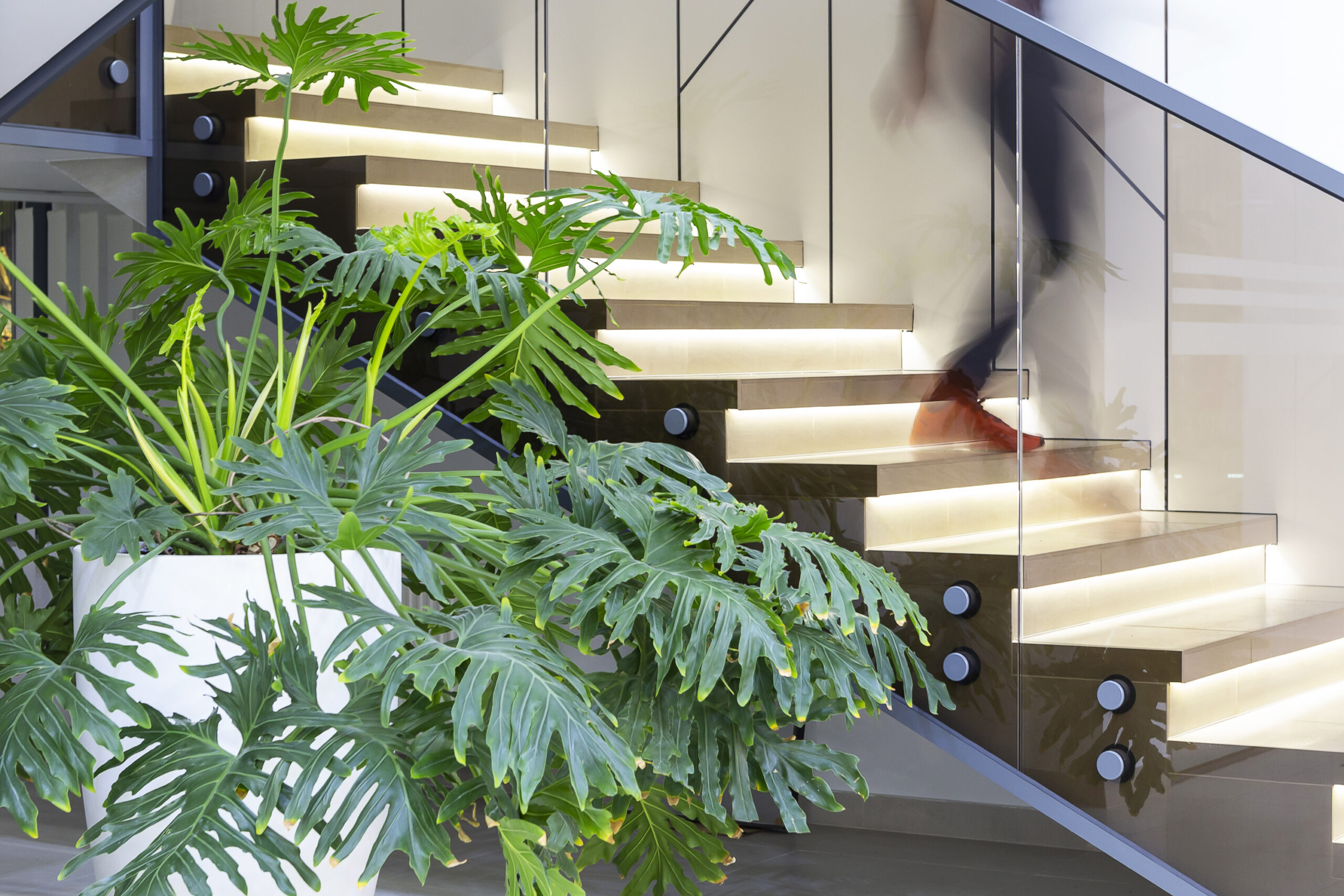 Офіс Kadium, м. Кропивницький