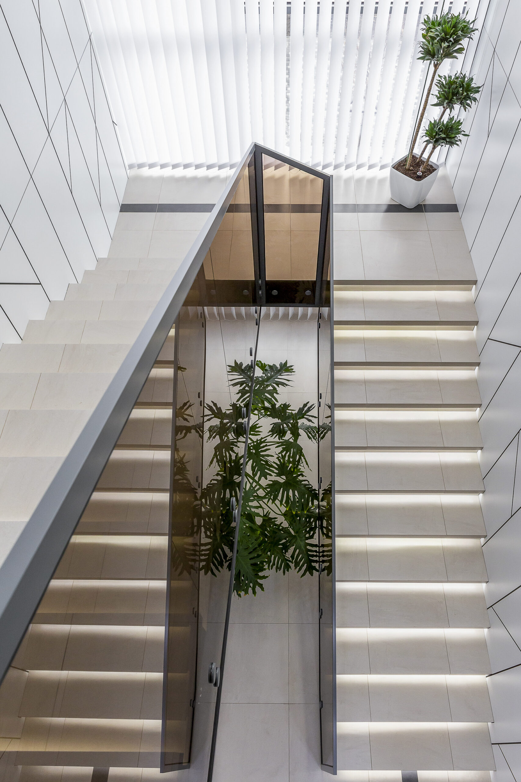 Офіс Kadium, м. Кропивницький