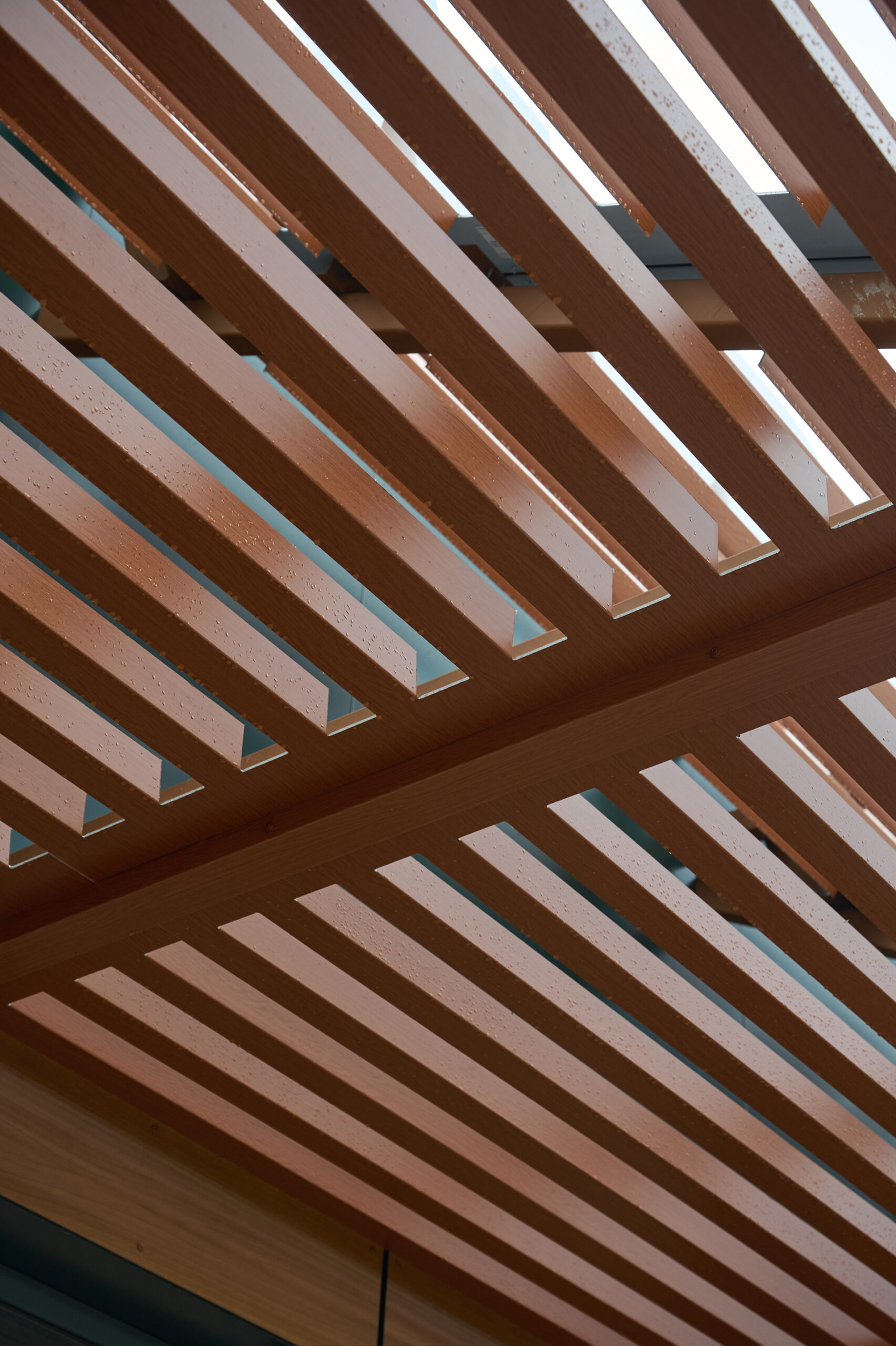 McDonald’s, м. Луцьк